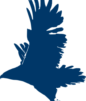 Falcon icon blue falcon icon