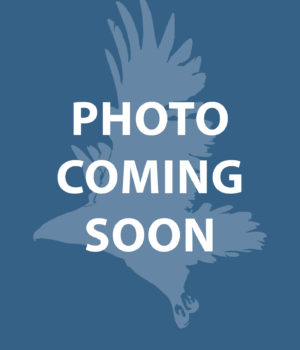 photo-placeholder photo-placeholder