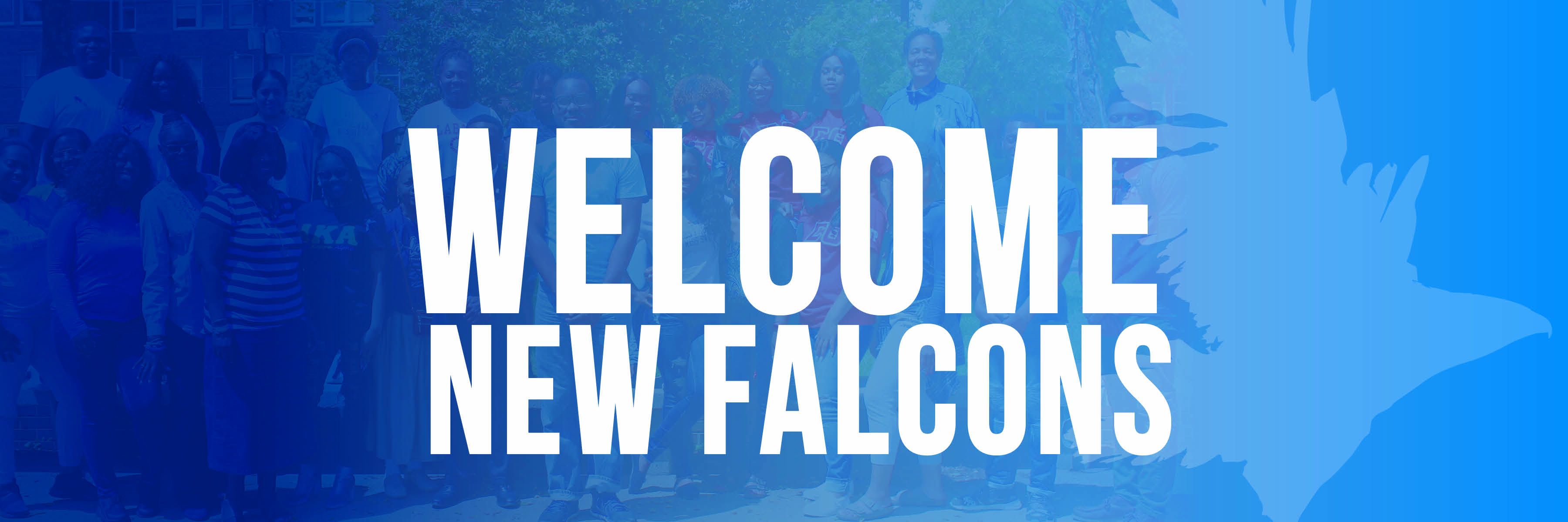 incoming falcons banner incoming falcons banner