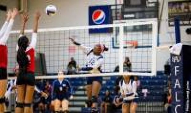 Volleyball team stuns Winston-Salem State